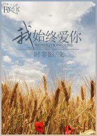 我始终爱你封面