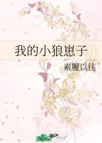 我的小狼崽子封面