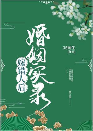 嫁错人后婚姻实录封面