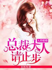 入骨暖婚：总裁大人请止步封面