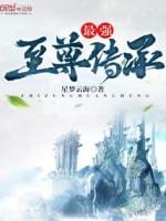 最强至尊传承封面