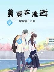 美丽在流逝封面