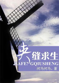 夹缝求生封面