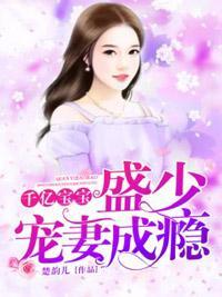 千亿宝宝:盛少宠妻成瘾封面