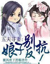 五夫寻妻:娘子别反抗封面