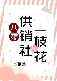 八零供销社一枝花封面