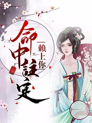 命中註定赖上你封面