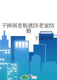 干掉屑老板就回老家结婚封面