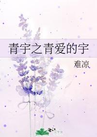 青宇之青爱的宇封面