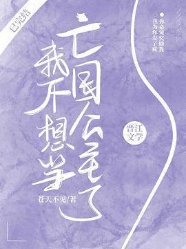 我不想当亡国公主了封面