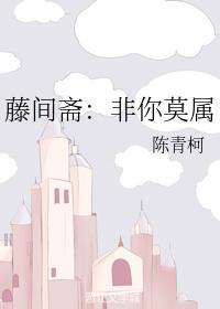 藤间斋:非你莫属封面