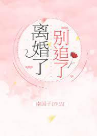 离婚了,别追了封面