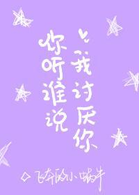 你听谁说我讨厌你封面