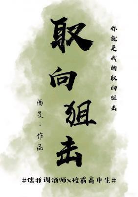 取向狙击封面
