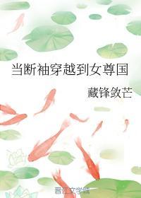 当断袖穿越到女尊国封面