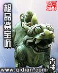 极品鉴宝师封面
