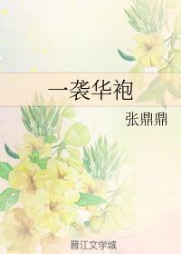 一袭华袍封面