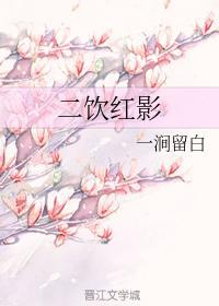 二饮红影封面