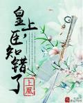皇上，臣知错了封面