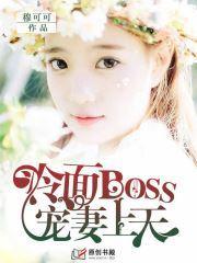 冷面BOSS：宠妻上天封面