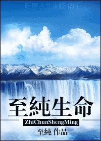 至纯生命封面