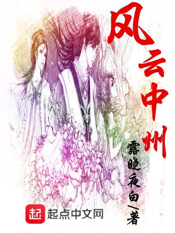 风云中州封面