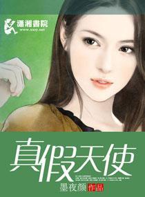 痴心玦爱之追妻入怀封面