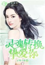 灵魂转换挚爱你封面