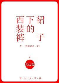 西装裤下的裙子封面