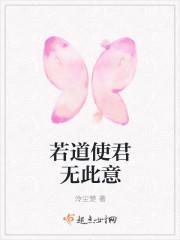 若道使君无此意封面