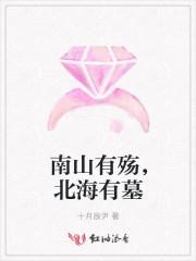 南山有殇,北海有墓封面