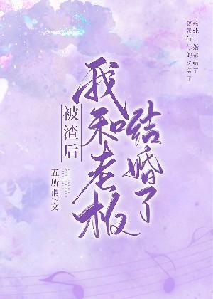 被渣后我和老板结婚了封面