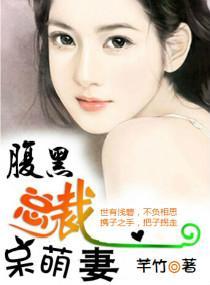 腹黑总裁呆萌妻封面