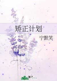 矫正计划封面