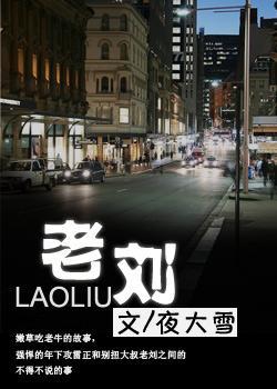 老刘封面