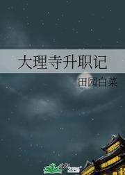 大理寺升职记封面