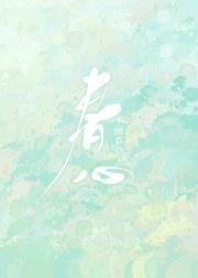 绣春心封面