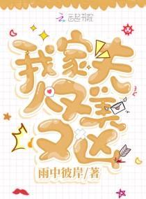 我家夫人又美又凶封面