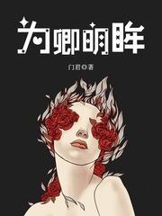 为卿明眸封面