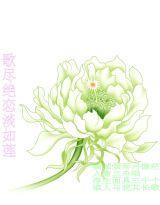 凤凰缭乱:妖孽王爷好痴情封面