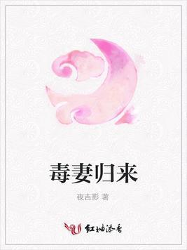 毒妻归来封面