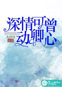 深情可曾动卿心封面