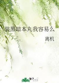 装黑暗本丸我容易么封面