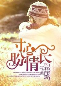 寸心盼情长封面