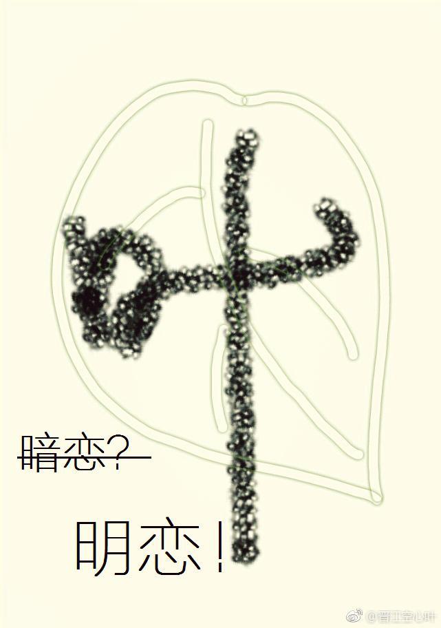 暗恋不如明恋封面