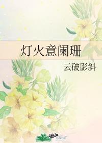 灯火意阑珊封面