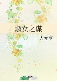 淑女之谋封面