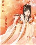 侍寝王妃之醉红颜封面