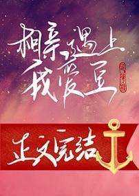 相亲遇上我爱豆封面