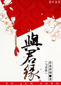 与君缘封面